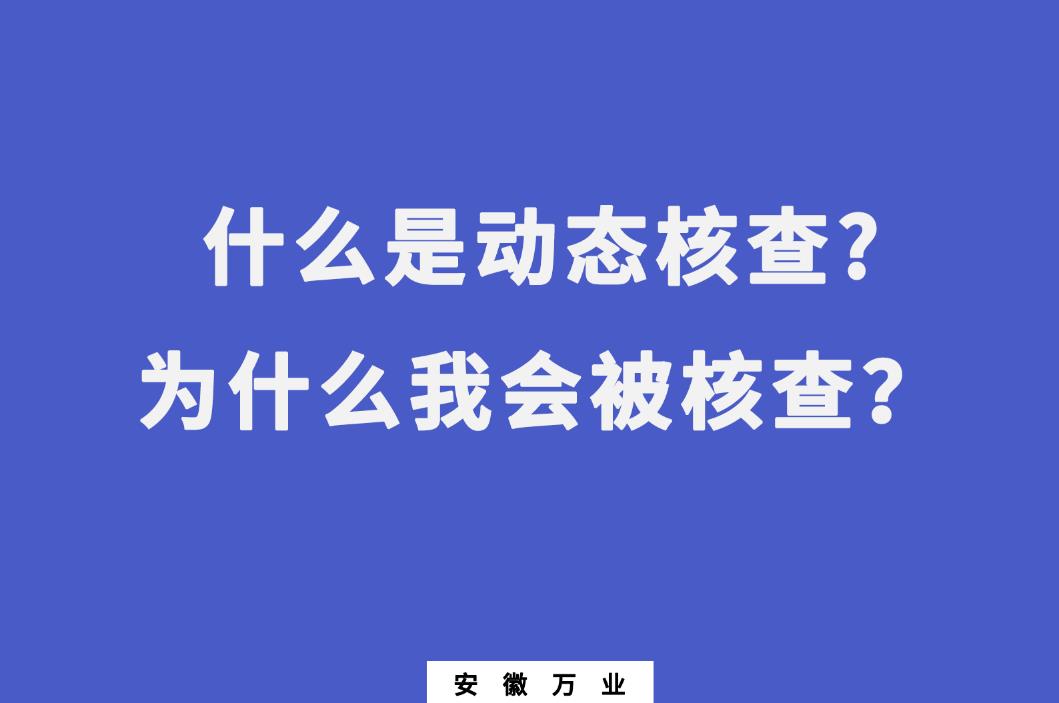 什么是動態核查?為什么我會被核查？