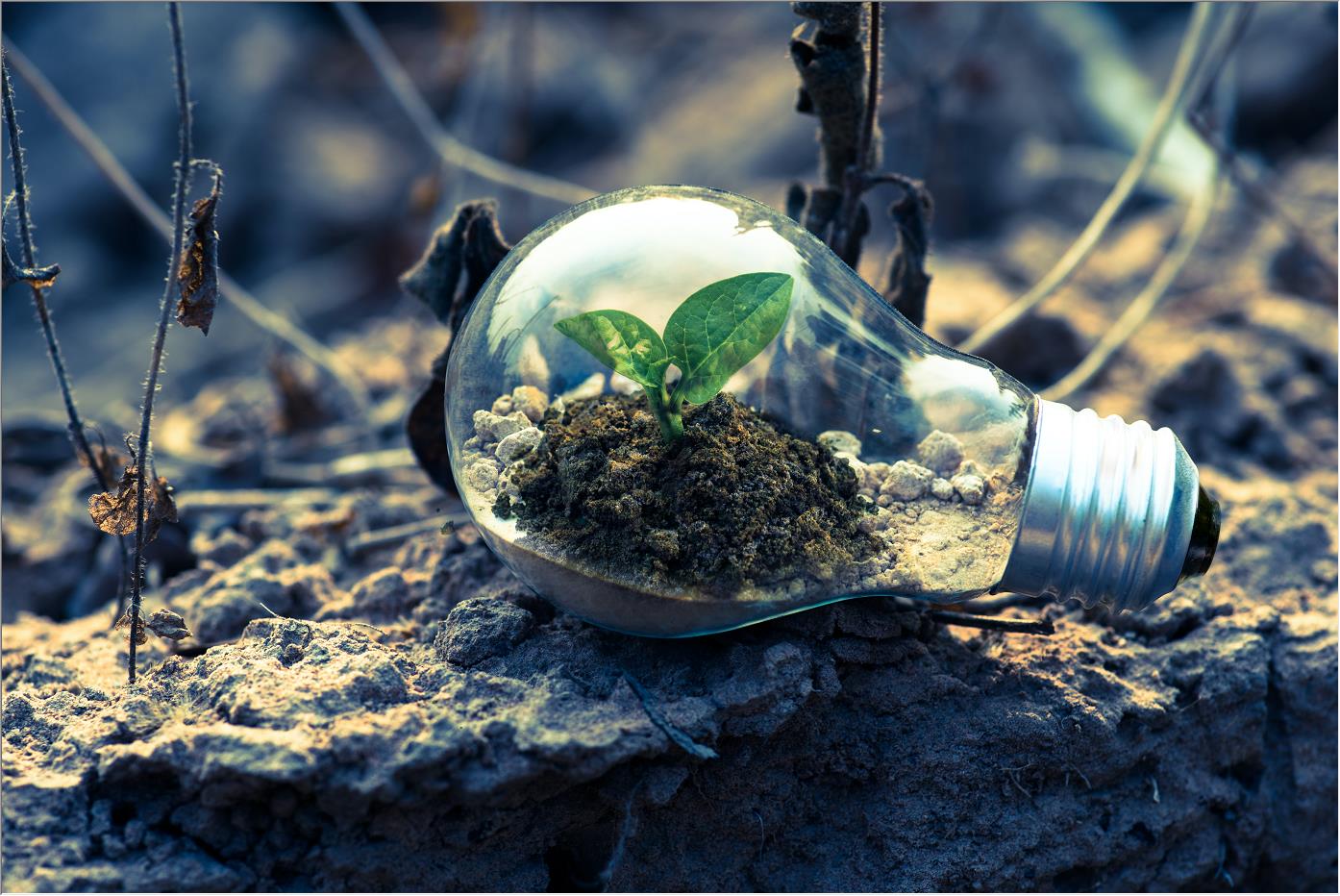 建筑項目的最新趨勢是什么？